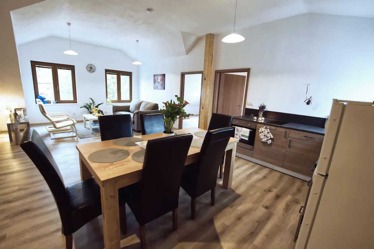 "U Capa" Krasny Apartman V Sedleci Sedlec  Extérieur photo