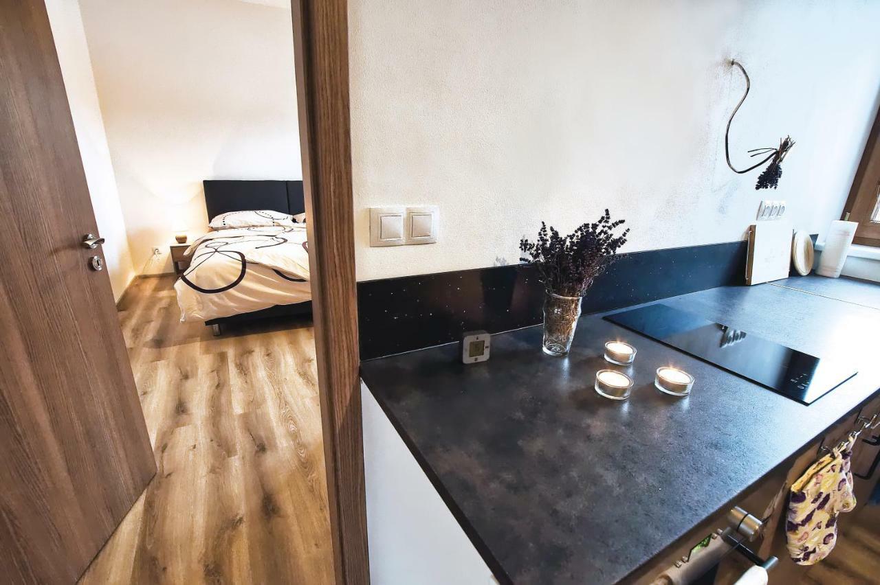 "U Capa" Krasny Apartman V Sedleci Sedlec  Extérieur photo